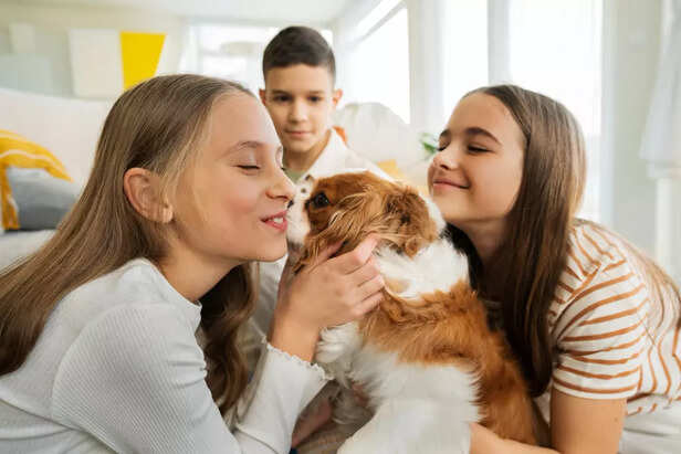 A Happy, Stress-Free Dog
