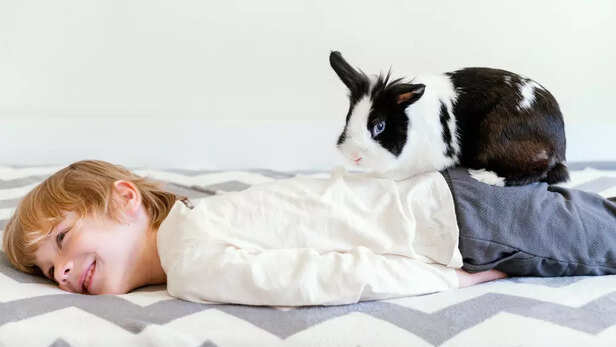 Signs That Show Your Bunny Is Bored