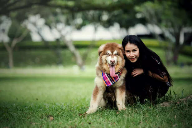 The Rise of Designer Dog Breeds in India