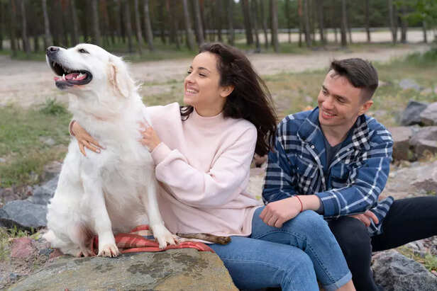 Helping Your Dog Feel Safe and Calm