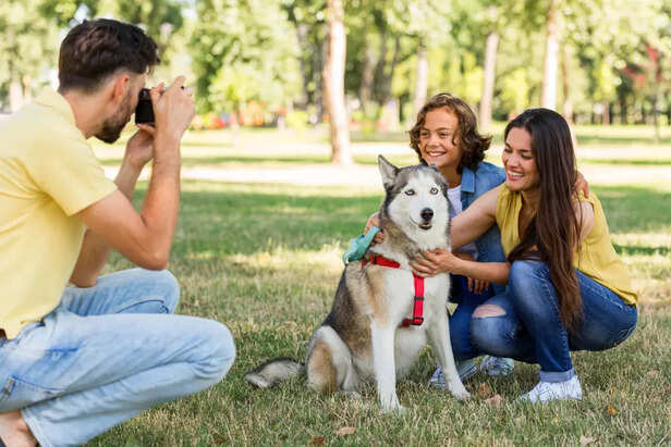 Giving Your Dog Enough Attention