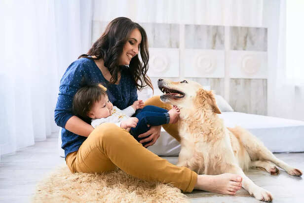 Introducing Your Dog to the New Family Member