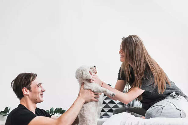 Emotional Connection Between Humans and Pets