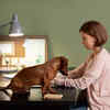 Are Pets Using a Sixth Sense or Just Instinct?