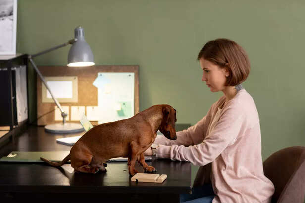 Are Pets Using a Sixth Sense or Just Instinct?