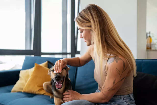 Signs Your Pet Is Just Acting