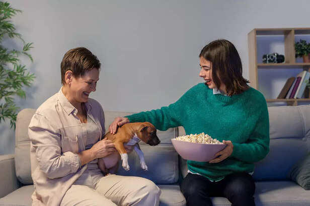 How to Handle a Pet Who Loves Drama