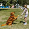 having fun with pets