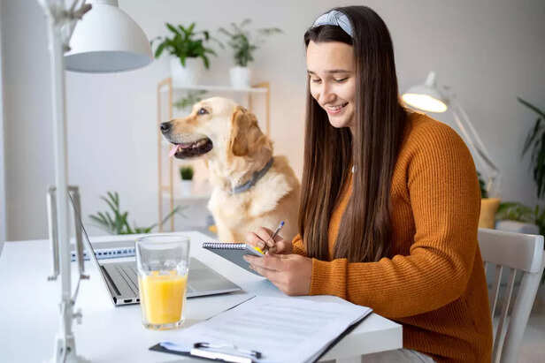 pet-friendly workplaces are on the rise