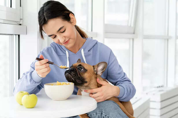 Understanding Your Pet’s Unique Nutritional Needs