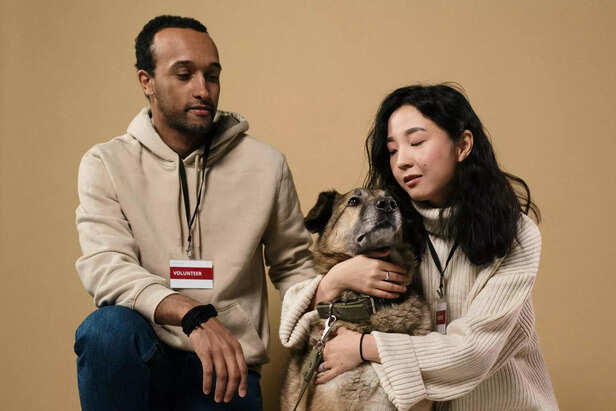 it is a journey of mutual growth and healing