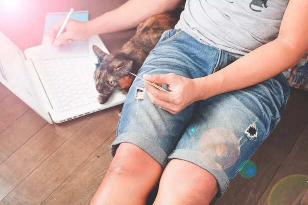 Tick Fever Is Becoming a Widespread Problem