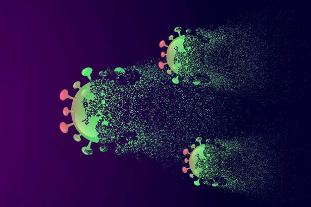 Parvovirus Is Dangerous and Spreads Fast