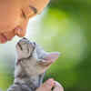 Cats showing affection