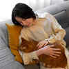 Seeking Comfort or Stress Relief