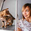 Your Cat’s Inner Explorer