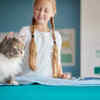 The Treat Hunt for your cats
