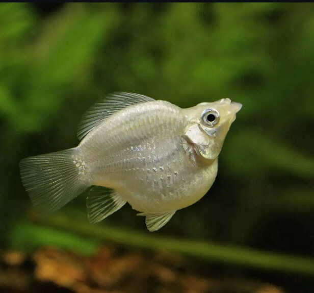 Picture credit : Instagram