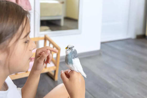 moment with baby bird