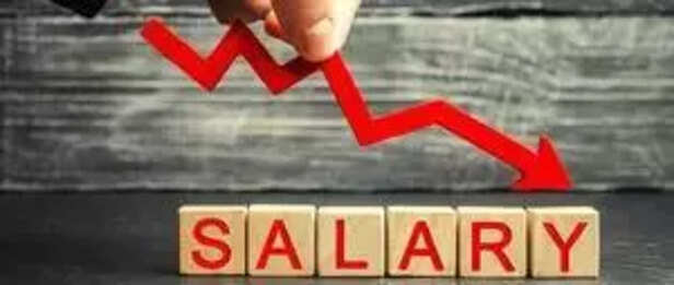 Startup founders’ salaries drop over 25 pc in India in FY24_ Report.