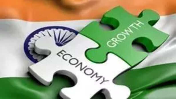 India's economic growth expected to accelerate in 2nd half of 2024-25_ Report.