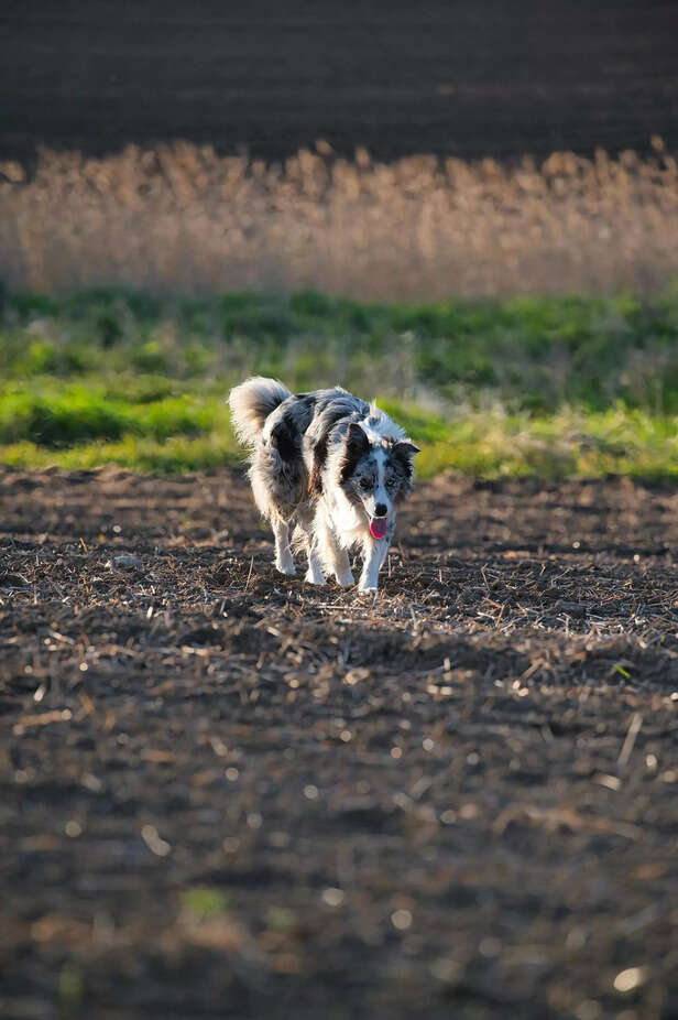 they keep you moving