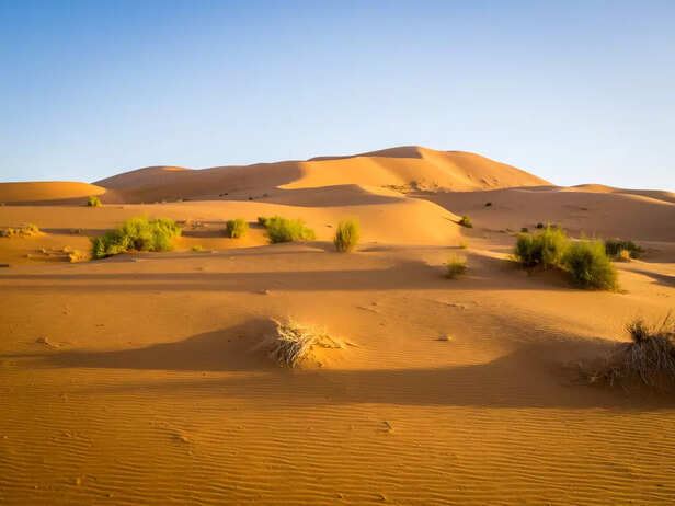 Desert Calm in Osian, Rajasthan