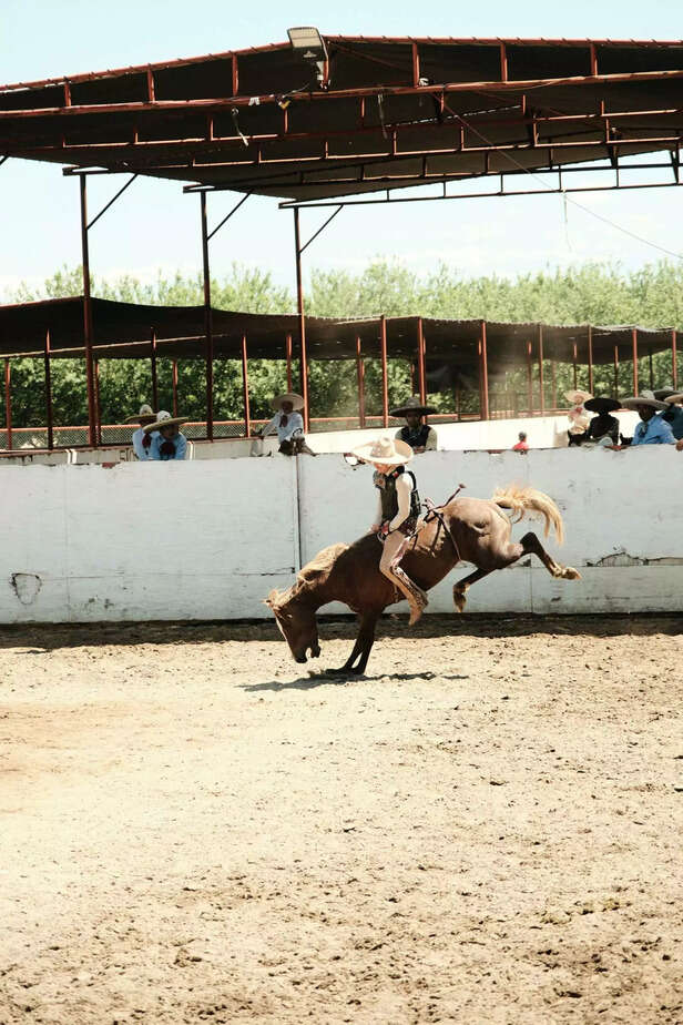 Horses kick in various ways