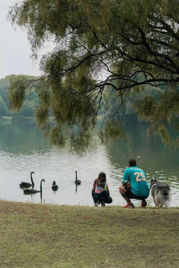 teaching essential skills