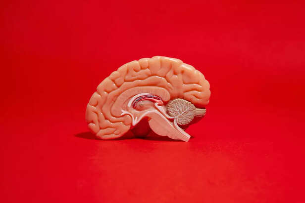 Ancient Indian Brain