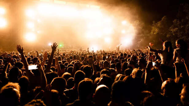 concert crowd