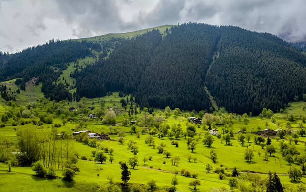 Shoja, Himachal Pradesh