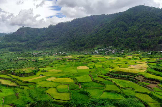 Ziro, Arunachal Pradesh