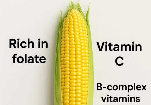 What Should YOU Choose?