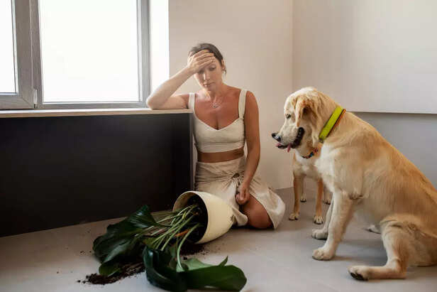 Environmental Factors and Sudden Noises