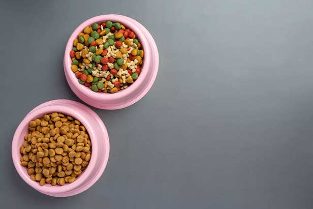Homemade Pet Food and Its Benefits