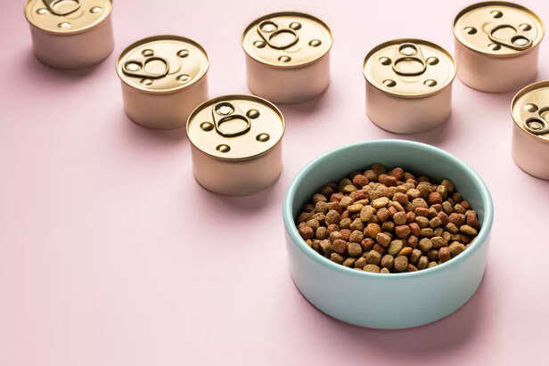 Store-Bought Pet Food and Why It's Popular