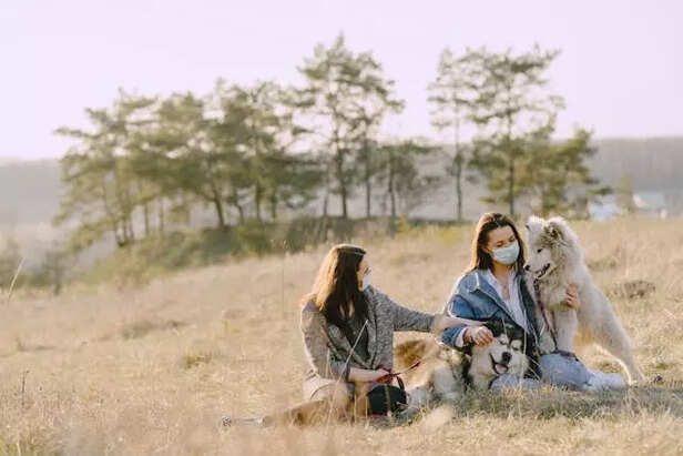 Comparing the Two: Which One is Really Better?