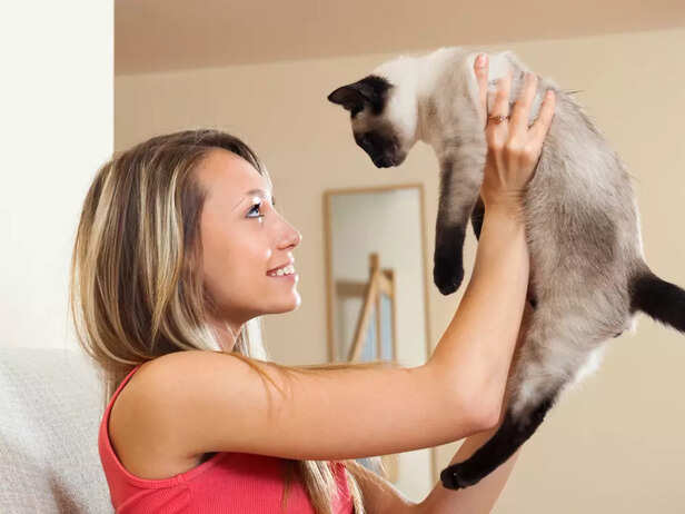Welcoming a Rare Cat Breed into Your Family Home