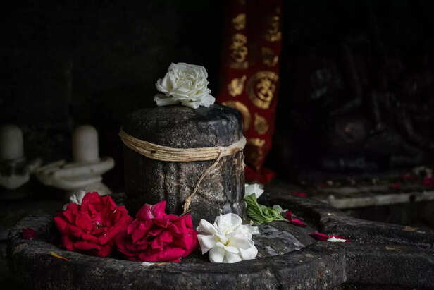 Lingam