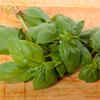 Basil