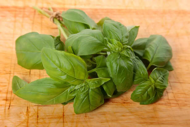 Basil
