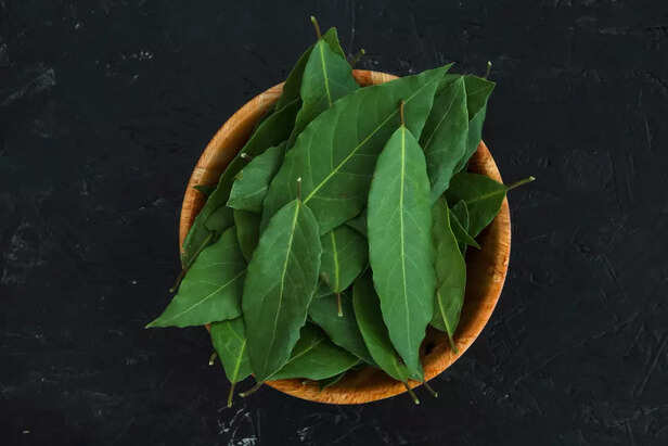 Curry leaves for hair ( image credit - FreepiK)