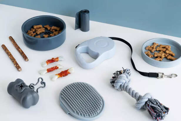 Providing the Right Chew Toys and Alternatives