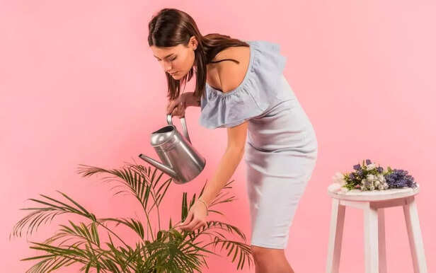 Beautiful, Long-Lasting Blooms