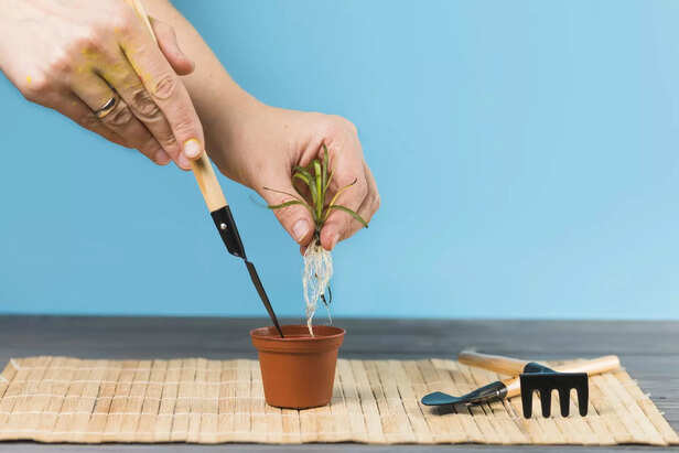 Propagation Is Easy &amp; Fun