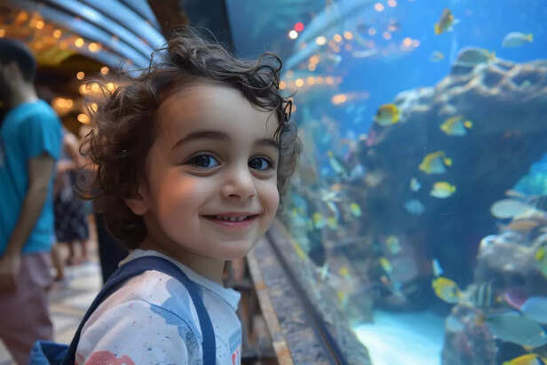 Why Choosing Long-Lived Fish Is the Best Decision