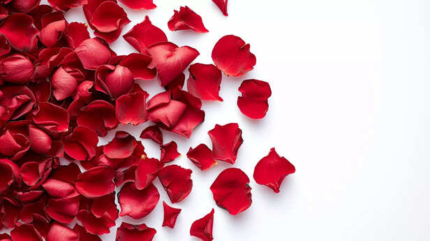 rose-petals