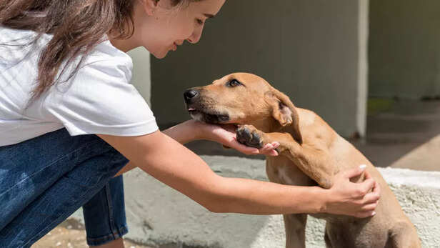 Adopting a pet saves lives and teaches compassion