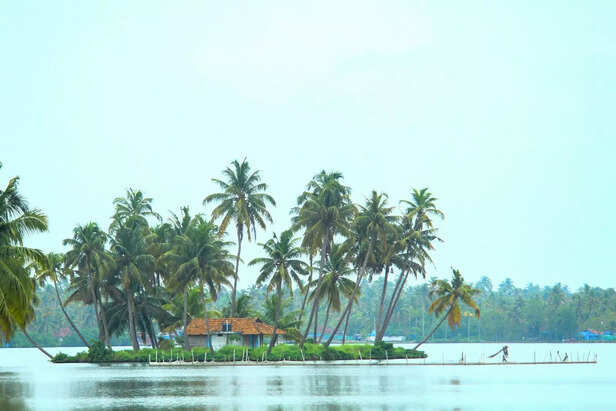 Kochi beauty
